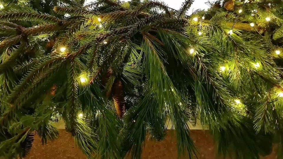 Александр Новиков: Уважаемые жители города-героя Смоленска, дорогие друзья!