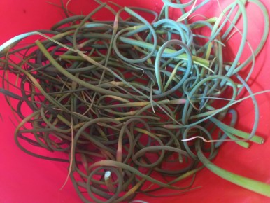 ��������� �������: ������� ������� ��������, ������� ���������� ����� ���������� ���������