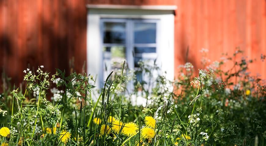 ��� �������� ����������� ������� �� ����������: ��� ����� ����� ������� ��������� �����