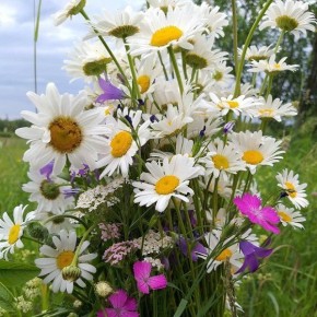 �����, ��� �������: ��� ����������� ������� ��������� ����