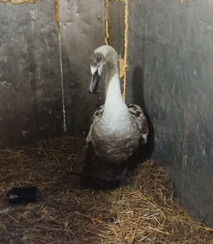 � ���������� ������� � ����� ��� ������ ���������� ������