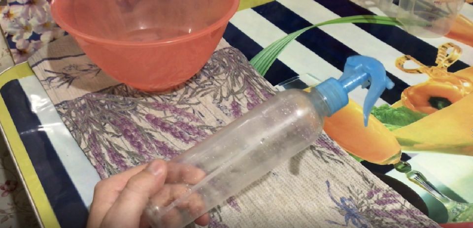 ���� � ������� �������: ��������� ������ ������� �������� �� ���� ������ �����