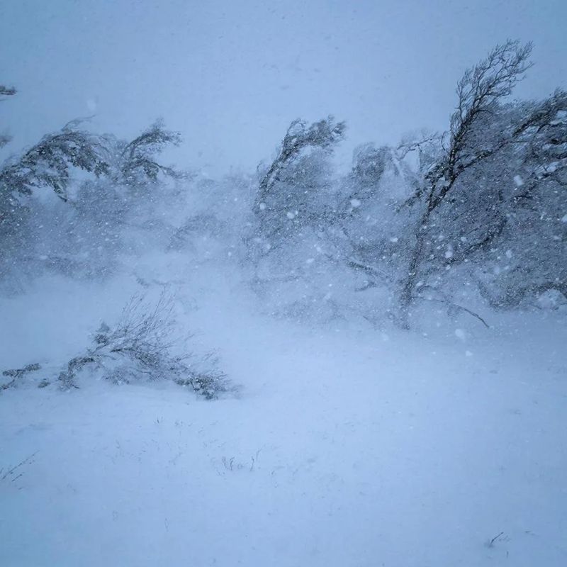 � ���������� ������� ��������� ��������� ��������������