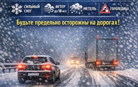 ���������������� ������������� ������ �� ������������ �� ����� ��������