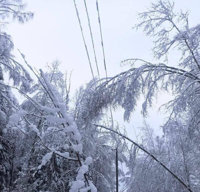 ������ � ���������� �����. ���������� ��������� �� ������ ��������