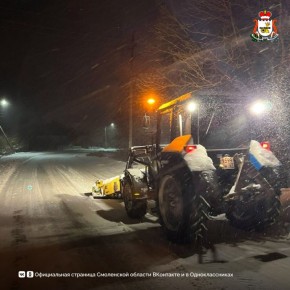 На Смоленскую область обрушился циклон «Фрэнсис»: службы ликвидируют последствия, часть районов осталась без света