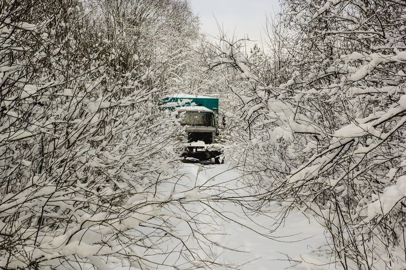 ���������������� ��������������� � 19 ���������� ���������������