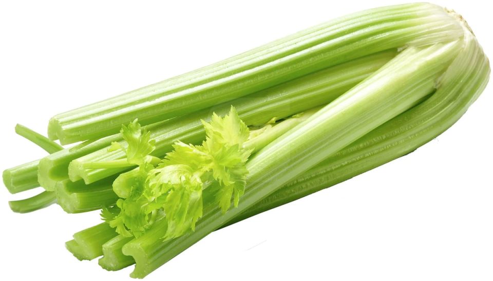 ��� ������� ������� ��� ���������� ����������� �����