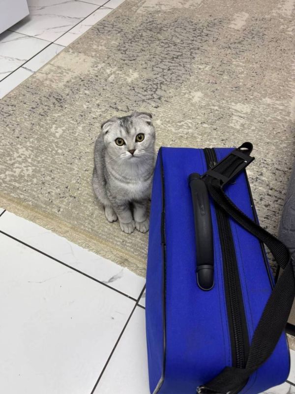 ���� ����� ������ ������� ����� ����� �������� �������