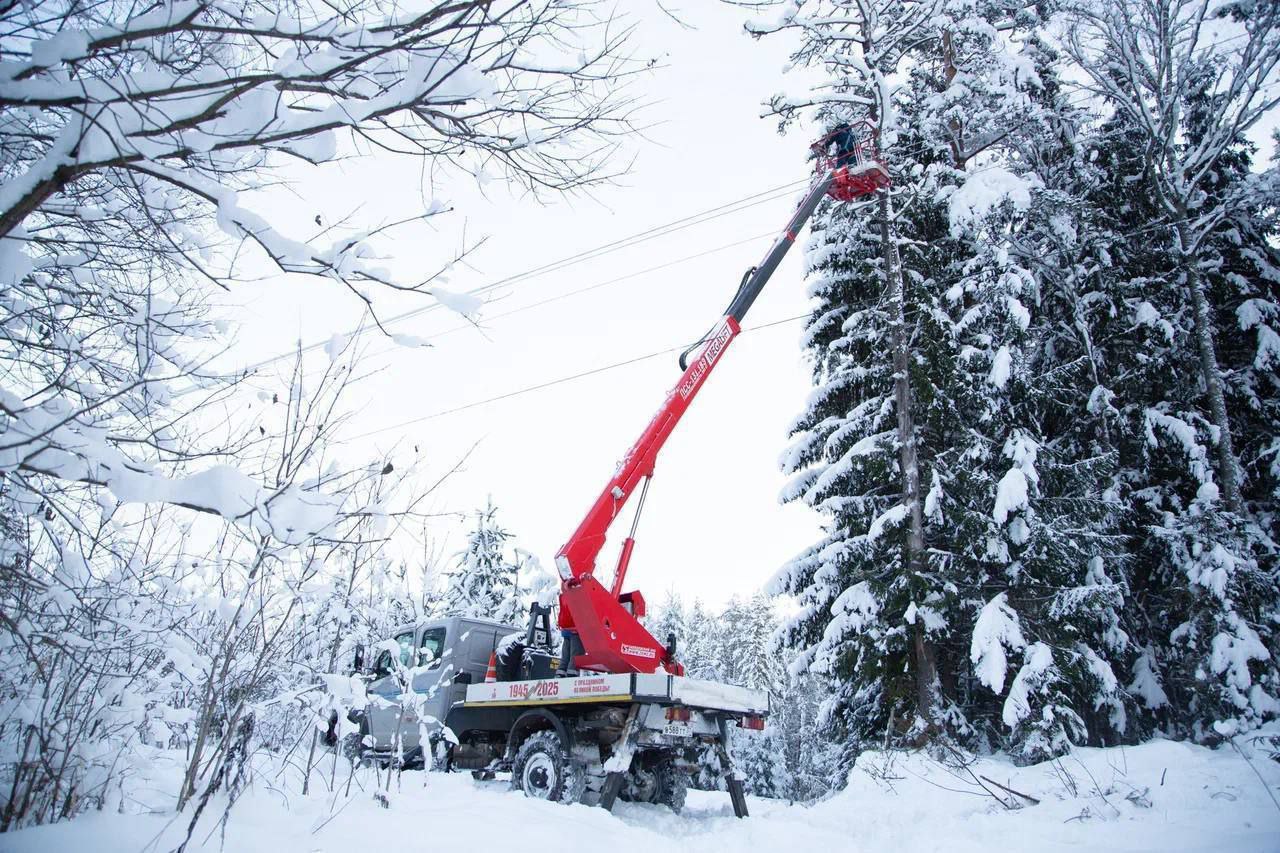 В Смоленской области полностью восстановлено электроснабжение после циклона «Фрэнсис»