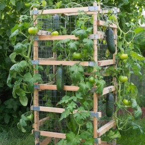 ��� ������� ���������� ������� ��� ������� �� ��������� ����������