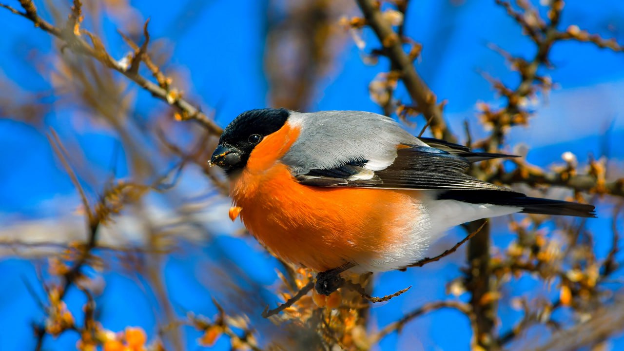 На календаре 12 января, праздники остались позади, а впереди — первая в новом году рабочая неделя