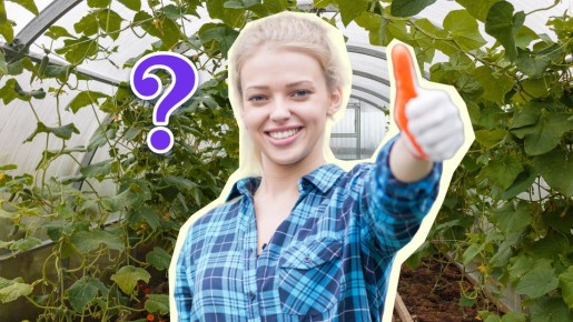 ��� ��������� � ���� ����� ������: �������� ������ ��� �� �������