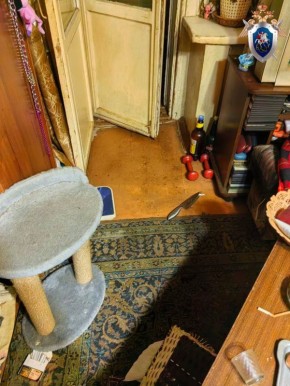 В Смоленске возбуждено уголовное дело об убийстве