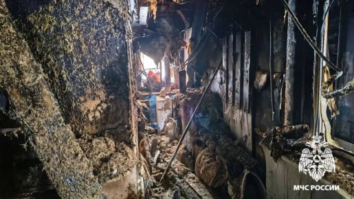 В Смоленской области при пожаре пострадала женщина