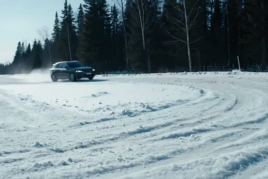 В МВД предупредили водителей-новичков о новой мошеннической схеме