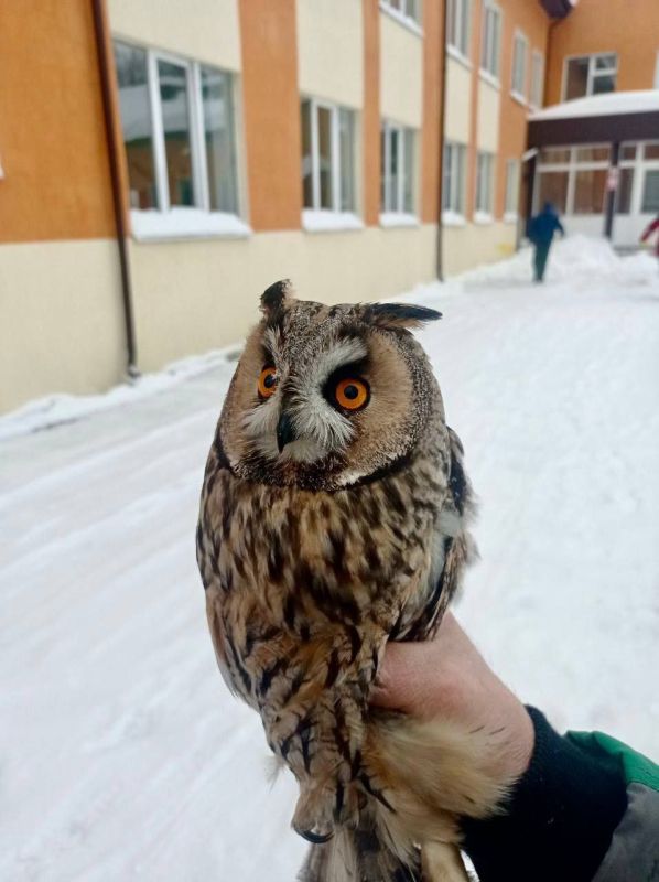 ���������� ������ ������ ����, ��������� � ����