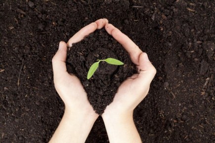 ��� �������� ����������� �������: ������� ����������� ����� ��� ������