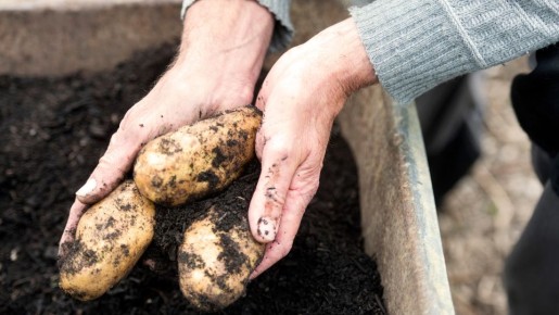 ������ ��������� ����������� ��������: ��� ��������� �������� ��� � 2 ����