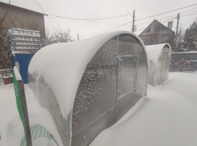 ������� ������ ���������: ��� ����� ����������� ����������� ����������� ��� ����� ��� �������