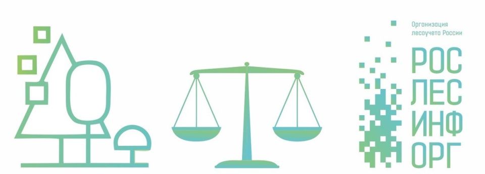 Конституционный суд РФ: Правопреемство и новые особенности в административных делах