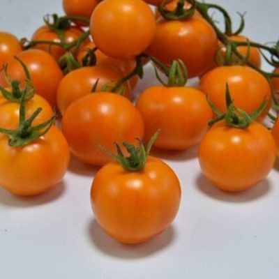 ����� �����: �������� � ������� � ������ �����