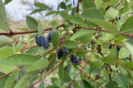 ���������: ��� ��������� ����������� ����� ��� �������� � ������������