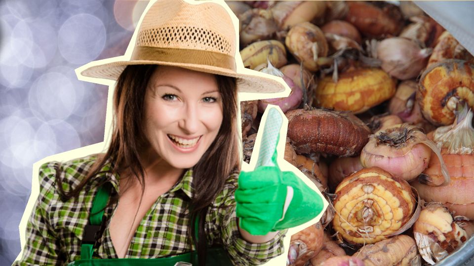 ������� �������� ������ ���������� ���������� ������ ���: ����� ��� ������, ��� ���������