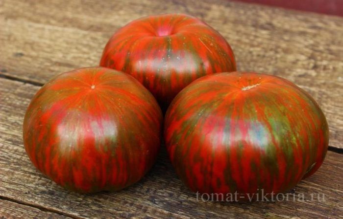 Томат Козула 186: секреты успеха и растущая популярность