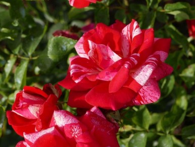 ����: �������� ������������ ��� ������ ����