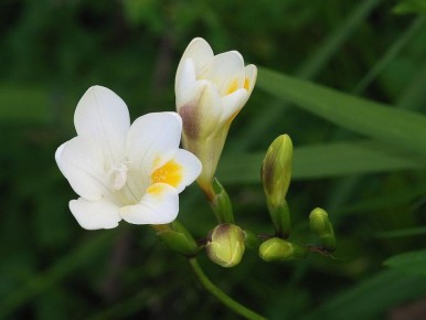 ������: ��������� ������� ��� ������ �������