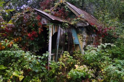 ��� ���������� ����������� ������� � �������� ��� ����� �� ���