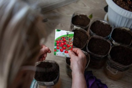 ��������� �����: 15 ������ ������ ����������� ���������