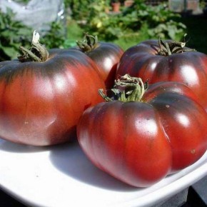 ����� ����������� �������: ������� ������ � ����������� ��������