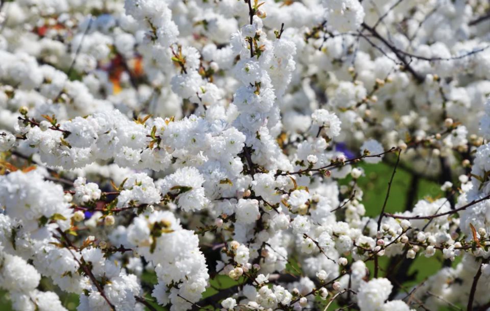 7 ����������� ����������� ��� ����� ������ ����