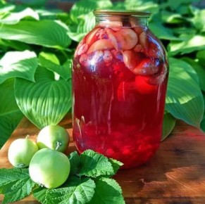 ��������� �������-�������� ������ �� ����