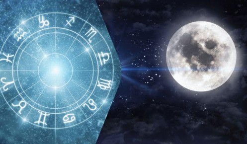 ������ 2026 ����: ������� ������ ��� ���� ������ �������