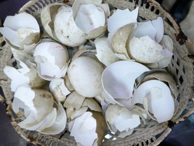 ������������ ���������: ������ �������� � ������� � ������ �������