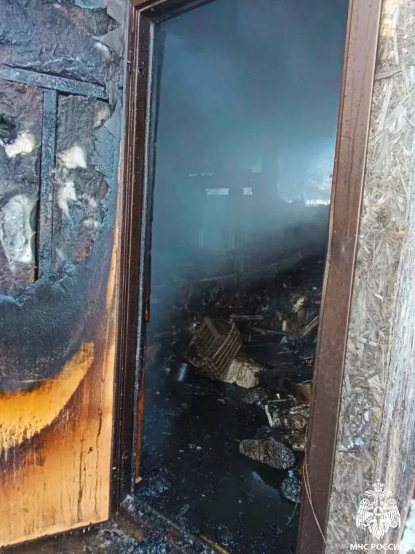 Смолянин лишился дачного дома, забыв выключить газовую плиту