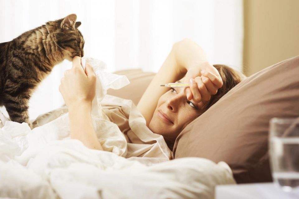 удивительное чутье кошек: действительно ли они знают, когда вы больны?