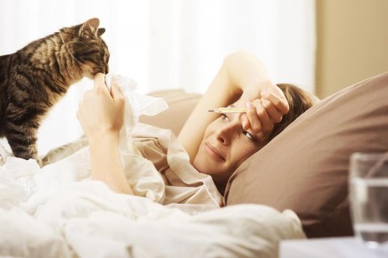 ������������ ����� �����: ������������� �� ��� �����, ����� �� ������?