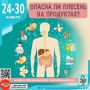 плесень на продуктах: как она может угрожать вашему здоровью