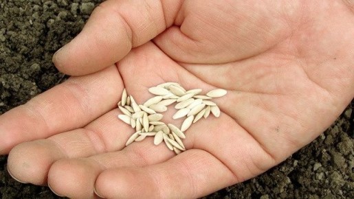 ��� ��������� ������, ������� ����� ������ ������� �� �����