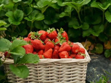 ��� ����������� �������� � ������: ������ �� ������� � ���������