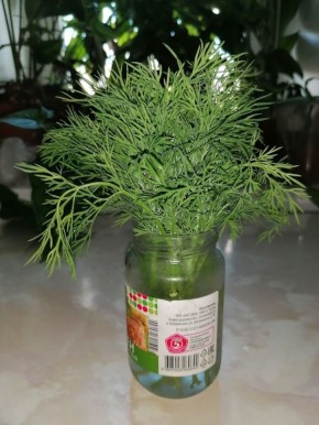 Как сохранить продукты свежими: полезные советы и распространенные ошибки