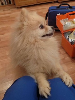 ������� ������ ������� ������ � �����������