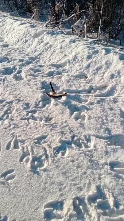 � ���������� ����� ���� ������ ���������� ����