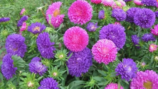 ��� ��������� ������� ����� ��� �����: ��� ��������� �������� ���������� ��������