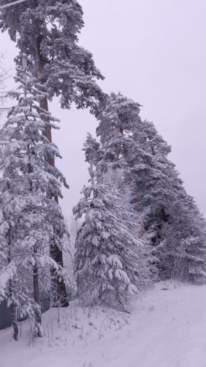 ����� ��� � ���������� ������: ��� ������� �������� ����� � ����