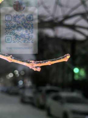 Смоленские улицы сковала гололедица